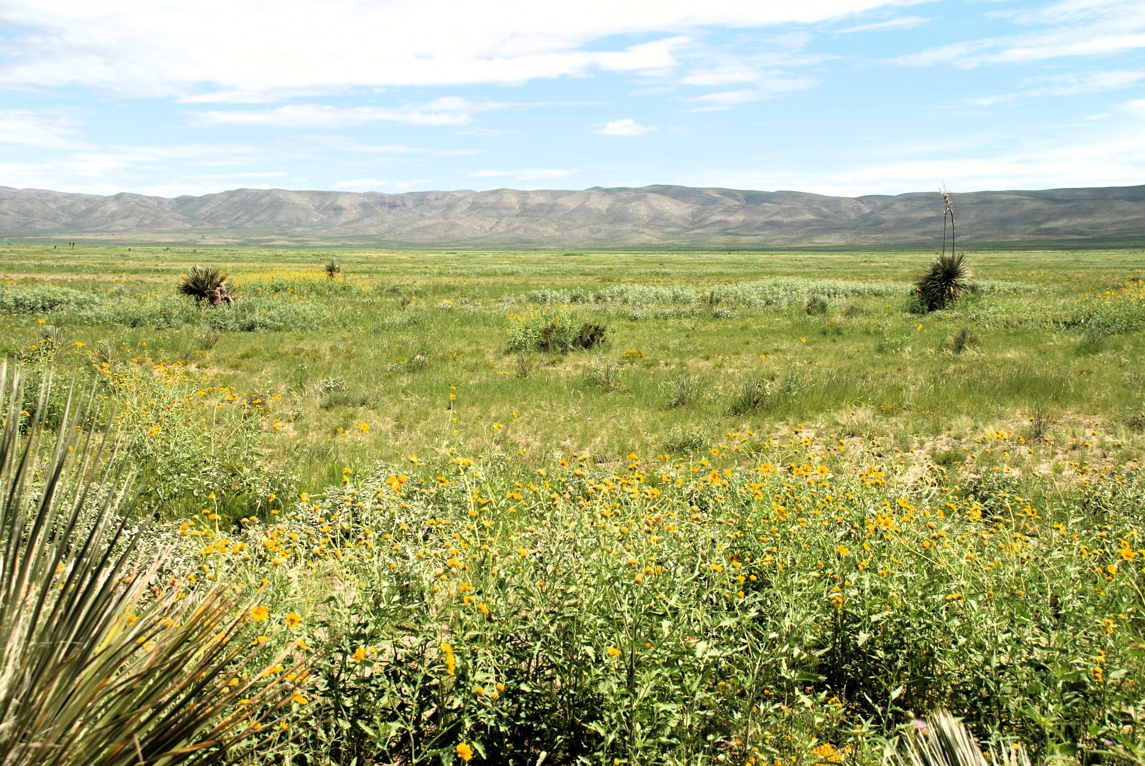 Little America Ranch